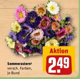 REWE Sommerastern Angebot