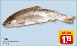 REWE Forelle Angebot