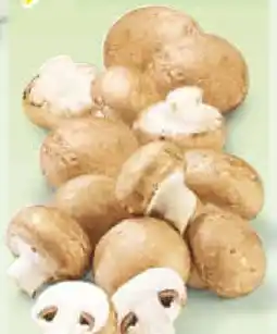 Netto Marken-Discount MarktTag Champignons Angebot
