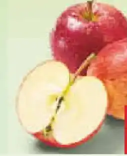 Netto Marken-Discount Rote Äpfel Angebot