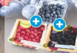 Netto Marken-Discount Driscoll's Himbeeren Angebot