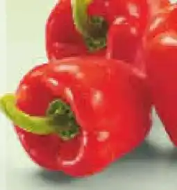 Netto Marken-Discount Paprika Rot Angebot