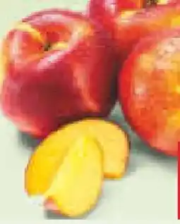 Netto Marken-Discount MarktTag Nektarinen Angebot