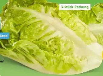 PENNY Marktliebe Regional Romana Salatherzen Angebot