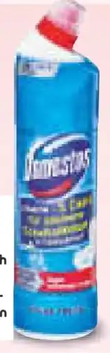 Netto Marken-Discount Domestos WC Gel Kraft & Frische Angebot
