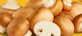 PENNY Marktliebe Regional Champignons Angebot