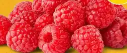 PENNY Marktliebe Regional Himbeeren Angebot