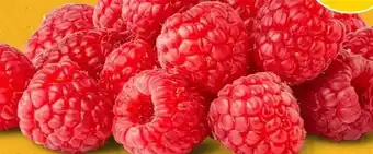 PENNY Marktliebe Regional Himbeeren Angebot
