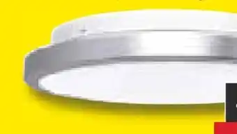 Netto Marken-Discount Star-Q LED Bad-Leuchte Angebot