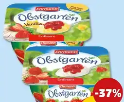 PENNY Ehrmann Obstgarten Angebot
