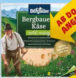 PENNY Bergader Käsescheiben mild-nussig Angebot