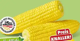 PENNY Marktliebe Zuckermais Angebot