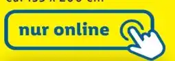 Lidl Action 30 Angebot