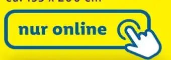 Lidl Action 30 Angebot