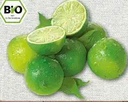 nahkauf Rewe Bio Limetten Angebot