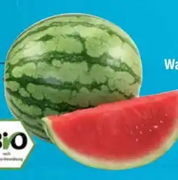 E-Center Bio-Mini-Wassermelone Angebot