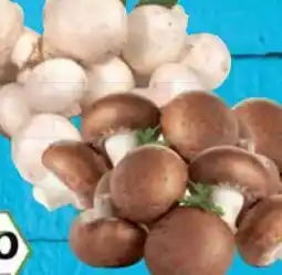 E-Center Bio-Champignons Angebot