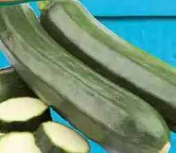 E-Center Bio-Zucchini Angebot