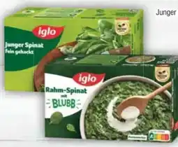 E-Center Iglo Junger Spinat Angebot