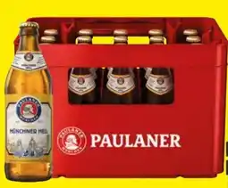 Edeka Paulaner Münchner Hell Angebot