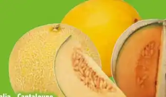 Edeka Galia Melone Angebot