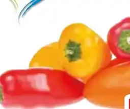 Edeka Mini Paprika Mix Angebot