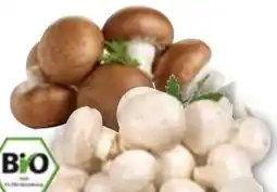 Edeka Bio-Champignons Angebot