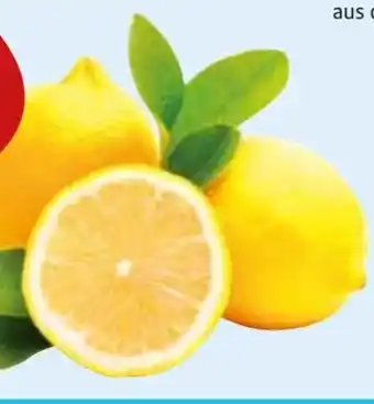 Edeka Gut & Günstig Zitronen Angebot