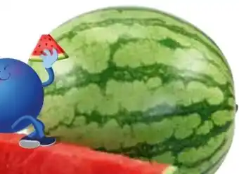Edeka Bio-Mini-Wassermelone Angebot