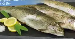 Edeka Regenbogen-Forelle Angebot