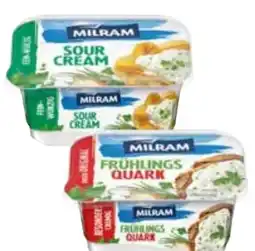 Edeka Milram Zaziki Angebot