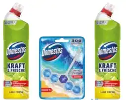 Edeka Domestos WC-Reiniger Angebot