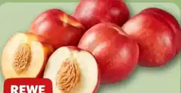 REWE Center Rewe Beste Wahl Nektarinen Angebot