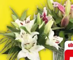 Edeka Premium Lilien-Strauß Angebot