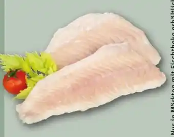REWE Center Steinbeißerfilet Angebot