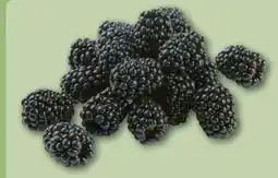 REWE Center Rewe Regional Brombeeren Angebot