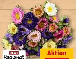 REWE Center Rewe Regional Sommerastern Angebot