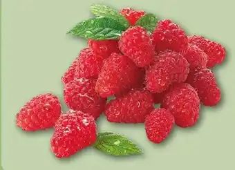 REWE Center Himbeeren Angebot