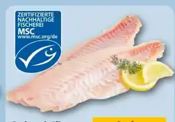 REWE Center Rotbarsch-Filet Angebot