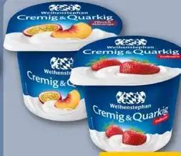REWE Center Weihenstephan Cremig & Quarkig Angebot