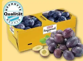 REWE Center Rewe Richrath Zwetschgen Angebot