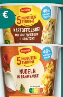 REWE Maggi 5 Minuten Terrine Kartoffelbrei mit Röstzwiebeln & Croutons Angebot