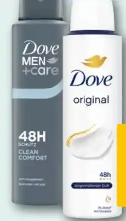 REWE Center Dove Deospray Angebot