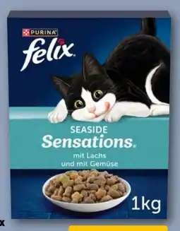 REWE Center Purina Felix Sensations Katzentrockennahrung Angebot
