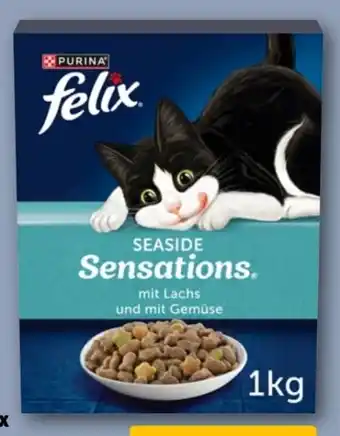 REWE Center Purina Felix Sensations Katzentrockennahrung Angebot