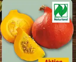REWE Rewe Bio Bio-Hokkaido Kürbis Angebot