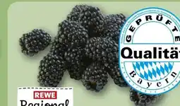 REWE Rewe Regional Brombeeren Angebot