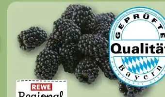 REWE Rewe Regional Brombeeren Angebot