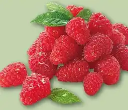 REWE Himbeeren Angebot