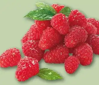 REWE Himbeeren Angebot
